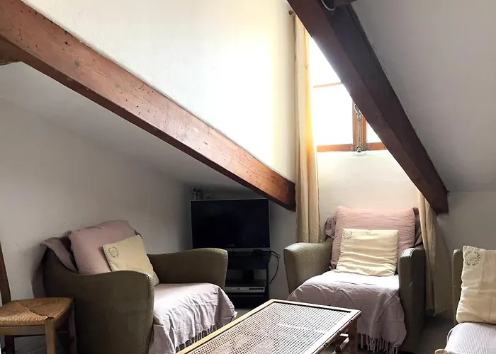 Garibaldi Mansarde * Nice